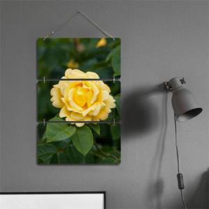 아트박스/꾸밈 oa139-멀티아크릴액자_화려한색의꽃(3단)