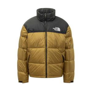 노스페이스 패딩 NF0A3C8D5HO1 MOSS GREEN