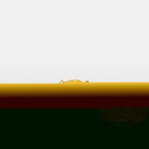 [베티블루] 995 999 24K 순금 작은 전사 부엉이 여성 여자 11.25g 금 링 반지