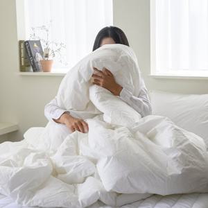 [르헤브] 호텔이다 60수 순면 항균 차렵이불 베개세트 Q