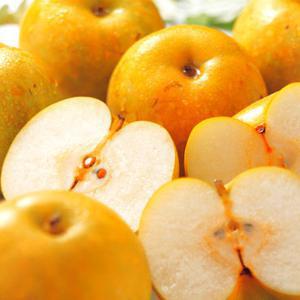 국내산 시원한 가정용 꿀배 꼬마과 5KG (14-18과)