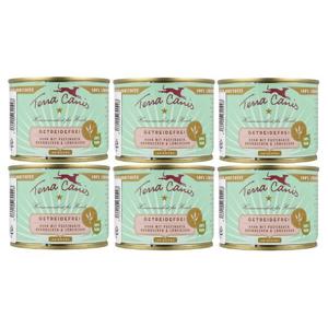 테라카니스 그레인프리 치킨과 파스닙200g x6개 강아지 습식사료