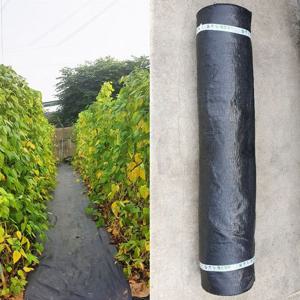 잡초매트 제초매트 60cmx200m