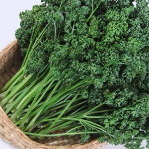 산정마을 국내산 파슬리 600g