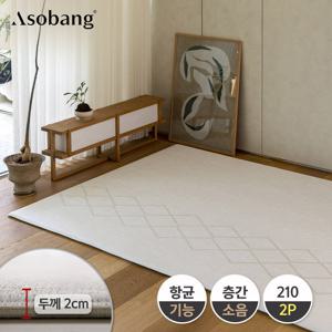 [아소방]2P 프라임 놀이방매트 오슬로라인 210 (210x140x2cm)