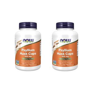 2개X  나우푸드    실리엄  허스크  차전자피  500mg  200캡슐