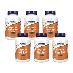 6개X  나우푸드    실리엄  허스크  차전자피  500mg  200캡슐