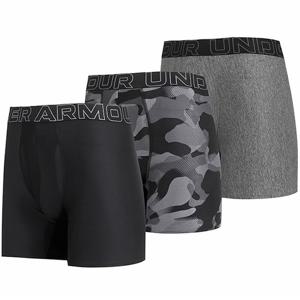 언더아머 UA 언더웨어 테크 프린트 6인치 3팩 (1383879-001)