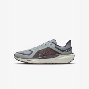 나이키운동화 HQS FQ1356-003 나이키 페가수스 41 GTX