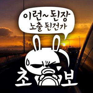 이런 된장 노출된건가 초보운전스티커-반사(B타입)