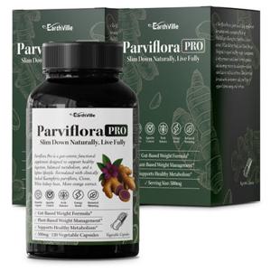 2개 어스빌 파비플로라 프로 흑생강 모로오렌지 시서스 500mg 120캡슐