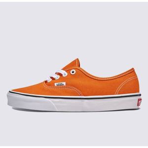 반스 어센틱 컬러 띠어리 신발 B1 VN000D6G52K