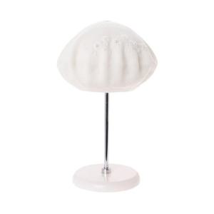 [압소바]라엔느 니트 베레모 A2531601