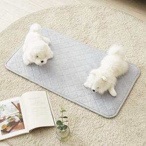 눕자 카본 탄소 강아지 고양이 전기방석 소프트극세사 그레이 특대형 50X90
