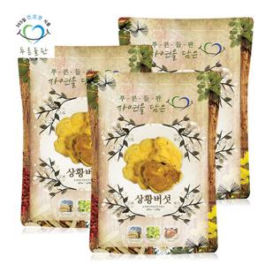 푸른들판 국내산 장수 상황 버섯 100gx3 원물 덩어리 진흙버섯