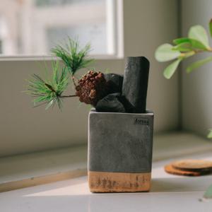 소나무를 담은 숯화분-공기정화, 미세먼지제거, 습도조절