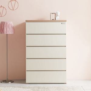 헤이몰리 뉴던 870 폭깊은 5단 왕서랍장