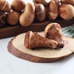 [식탁이야기]  참송이버섯 1kg