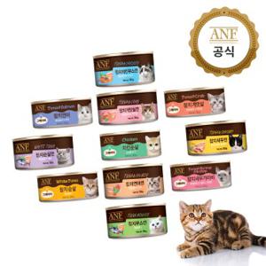 ANF 고양이 캔 습식캔 멀티팩박스 24개입 콤보간식 골고루콤보