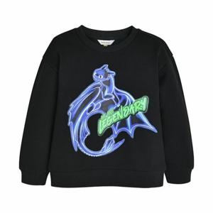 [컬리수]아동 드래곤길들이기 맨투맨 C241TSG63P