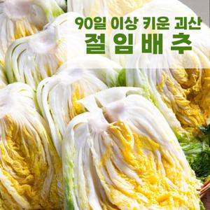 [예약배송 [천상지애] 90일키운 괴산 절임배추 20kg (7~9포기)