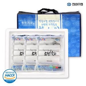 [한림수협] 제주바당 은빛갈치 300gx12미(1미/4토막)+부직포가방