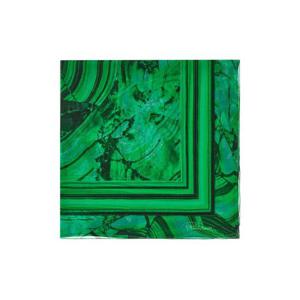 25 FW 로베르토 카발리 말라카이트 프린트 실크 스카프 TALR32IR049 TP443561233
