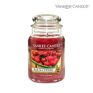 양키캔들 라지자 블랙체리