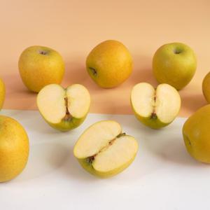 [미식한가] 황금사과 시나노골드 주스용 랜덤과 6kg