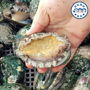 삼남매네 완도활전복 왕특대 7-8미 1kg 산소포장+세척솔