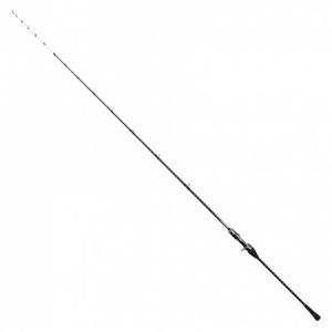 시마노(SHIMANO) 타치우오로드 25 세이버 마스터 익스튜닝 공 텐야 82MH170