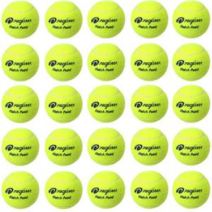 PM 테니스공 40개 연습구 트레이너볼