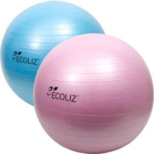 에코리즈 안티버스트 55cm짐볼