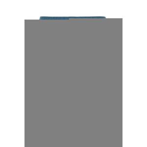 25FW 스톤아일랜드 Air force 블루 nylon 스위밍 숏츠 B10000443V002B