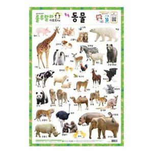 새샘 사운드벽보 룰루랄라 동물/520mmx765mm (1개) 부품 소모품 자재 파츠