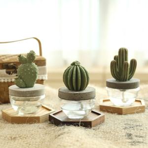 아로마코 선인장 석고디퓨저 100ml