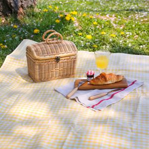 선데이체크 방수 피크닉매트 (L)