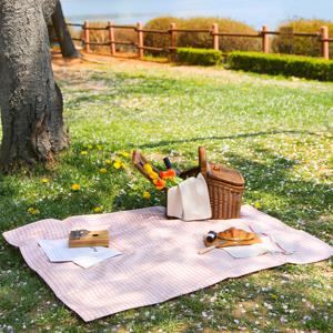 선데이체크 방수 피크닉매트 (M)