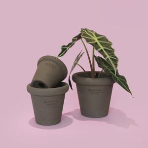 마이플랜트 로자리안 에보니 슈가팟 10호 화분 단품 분갈이 미니 국산 화분 인테리어 토분