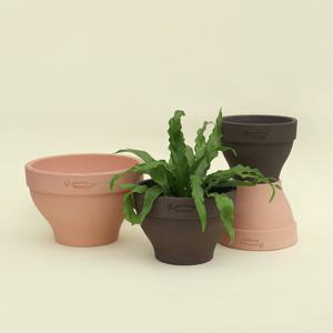 마이플랜트 로자리안 허니&에보니 찰스팟 15호 분갈이 국산 화분 인테리어 토분