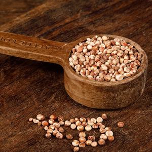 [자연맛남] 전주시 디자인농부 찰수수 찰기가득 500g