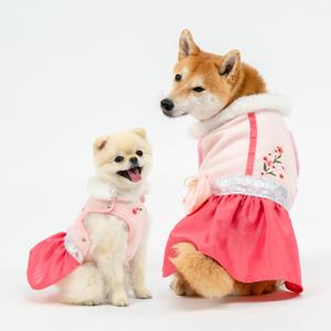 펫띵 포근한복 여아 6호 강아지 한복