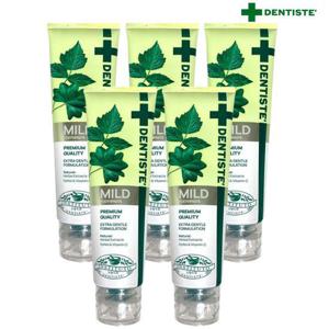 [땡큐온]덴티스테 나이트타임 마일드 치약 160g x5개 허브성분