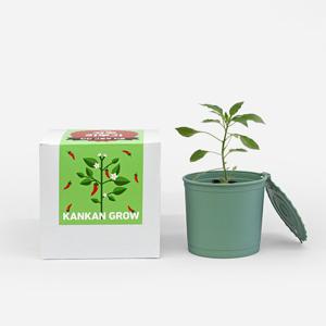 [마이플랜트]아이농부 고추 씨앗 칸칸 그로우 키트