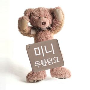 초극세사같은 무릎담요- 휴대용 미니 무릎담요 -B01