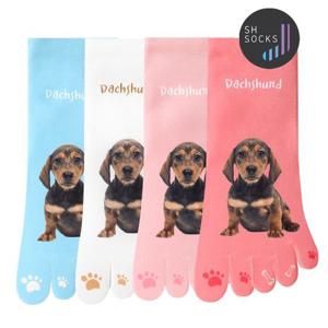 서한양말 강아지시리즈 발가락양말 닥스훈트