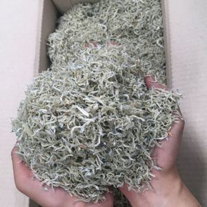 실속형 지리멸치 1.5kg 세멸치 볶음멸치 잔멸치 멸치