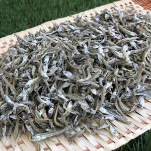 상급 가이리멸치 500g 자멸치 볶음멸치 잔멸치 멸치