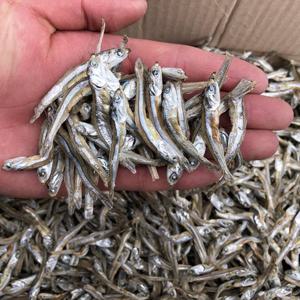 상급 고바멸치 500g 소멸치 안주멸치 볶음멸치 멸치