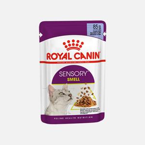 로얄캐닌 캣 센서리 젤리 스멜 파우치 85g 수분공급 고양이 사료